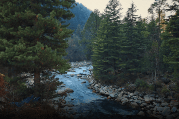 Rivers in Himachal Pradesh