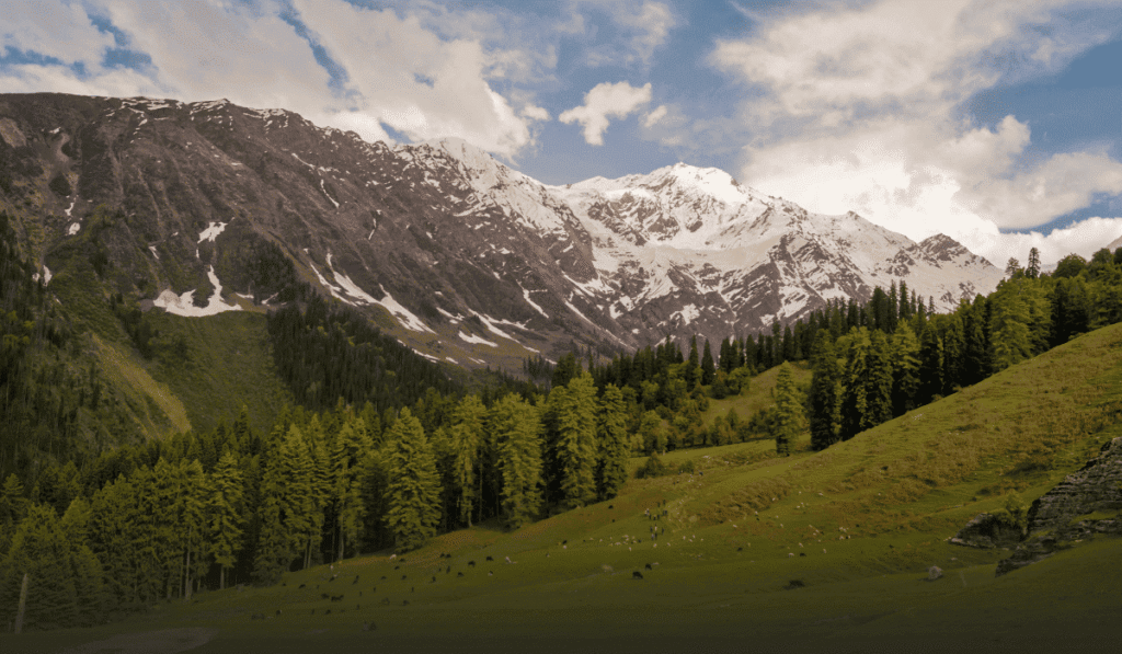 Tirthan Valley in Himachal