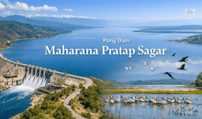 Pong Dam Himachal Pradesh: Location, River & Wildlife Sanctuary