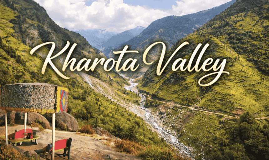 Kharota Valley Guide: Hidden Gem Near Dharamshala You Shouldn’t Miss